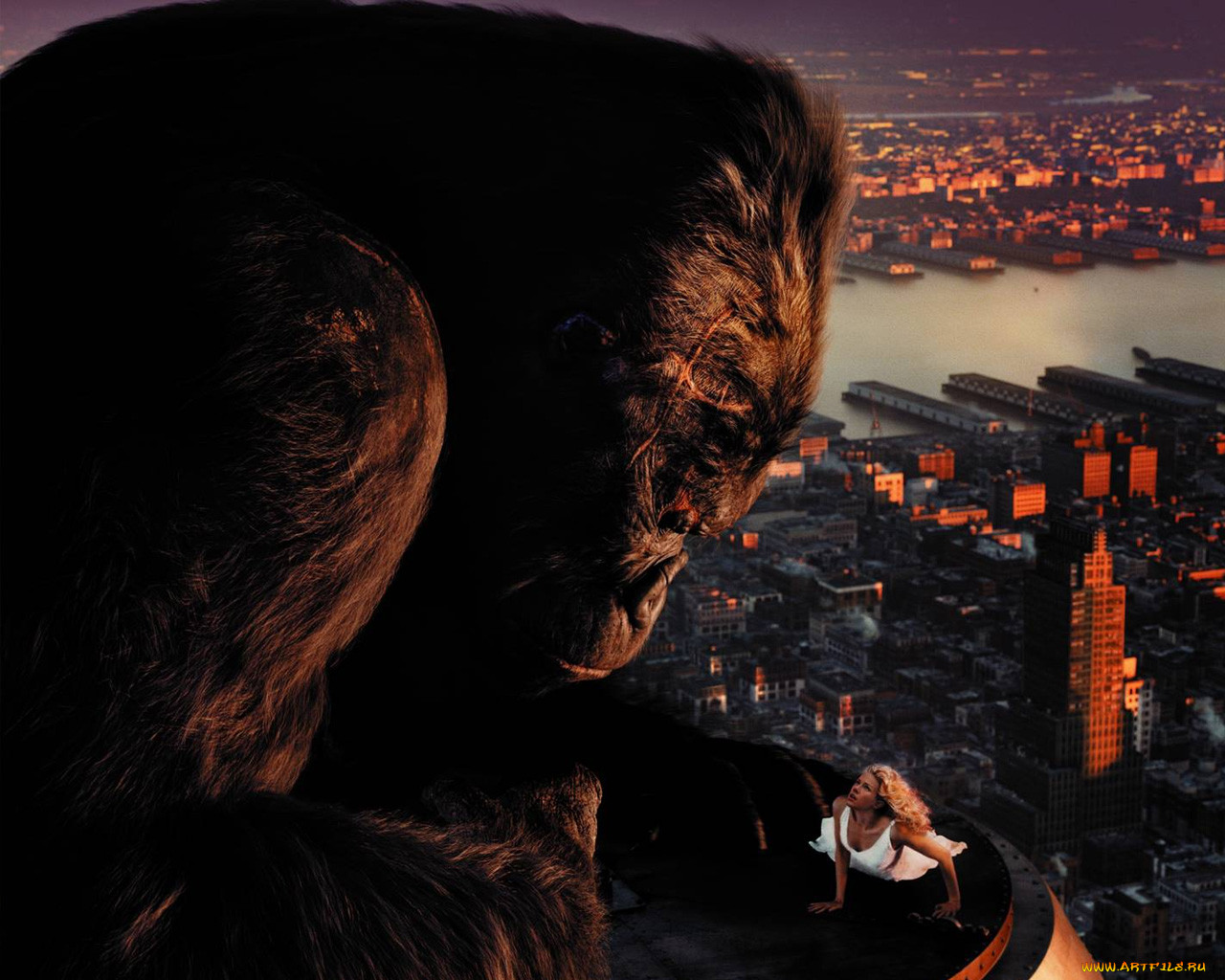 , , king, kong